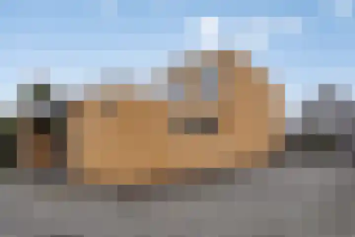 Grasfonteinkruid 11 Eindhoven thumbnail 43