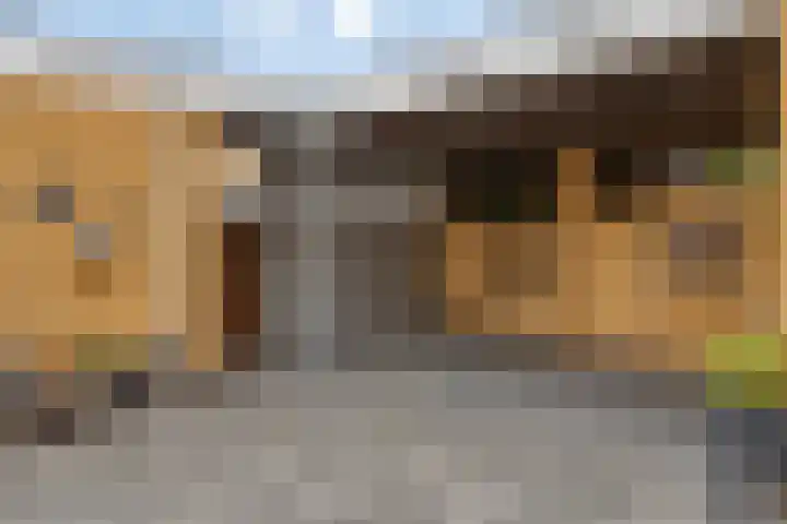 Grasfonteinkruid 11 Eindhoven thumbnail 44