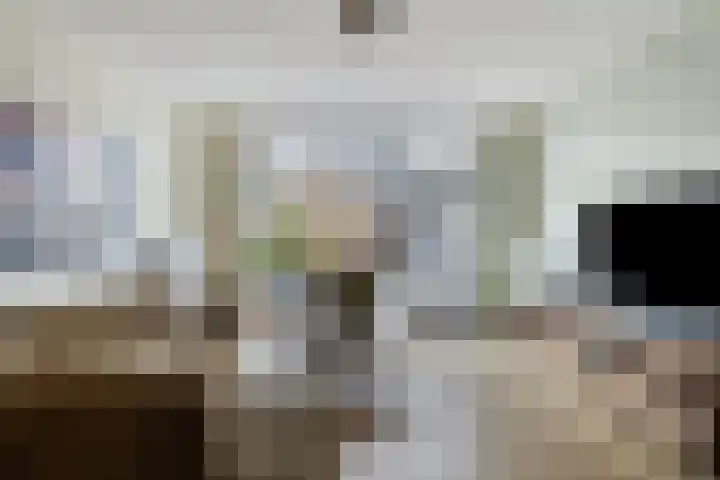 Grasfonteinkruid 11 Eindhoven thumbnail 9