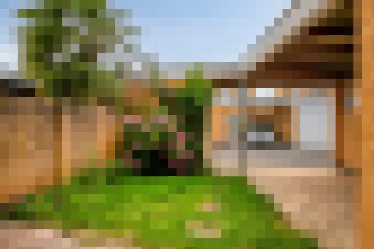 Grasfonteinkruid 7 Eindhoven thumbnail 22