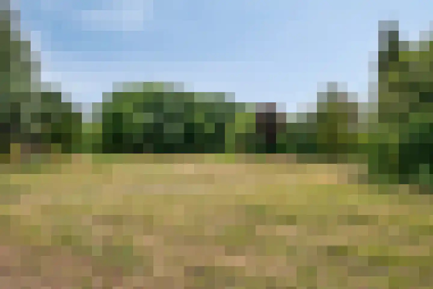 Grasfonteinkruid 7 Eindhoven thumbnail 28