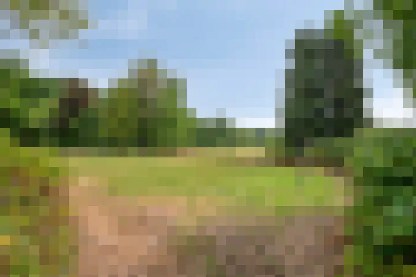 Grasfonteinkruid 7 Eindhoven thumbnail 29