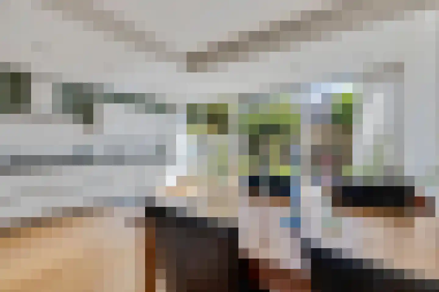 Grasgors 11 Mijnsheerenland thumbnail 12