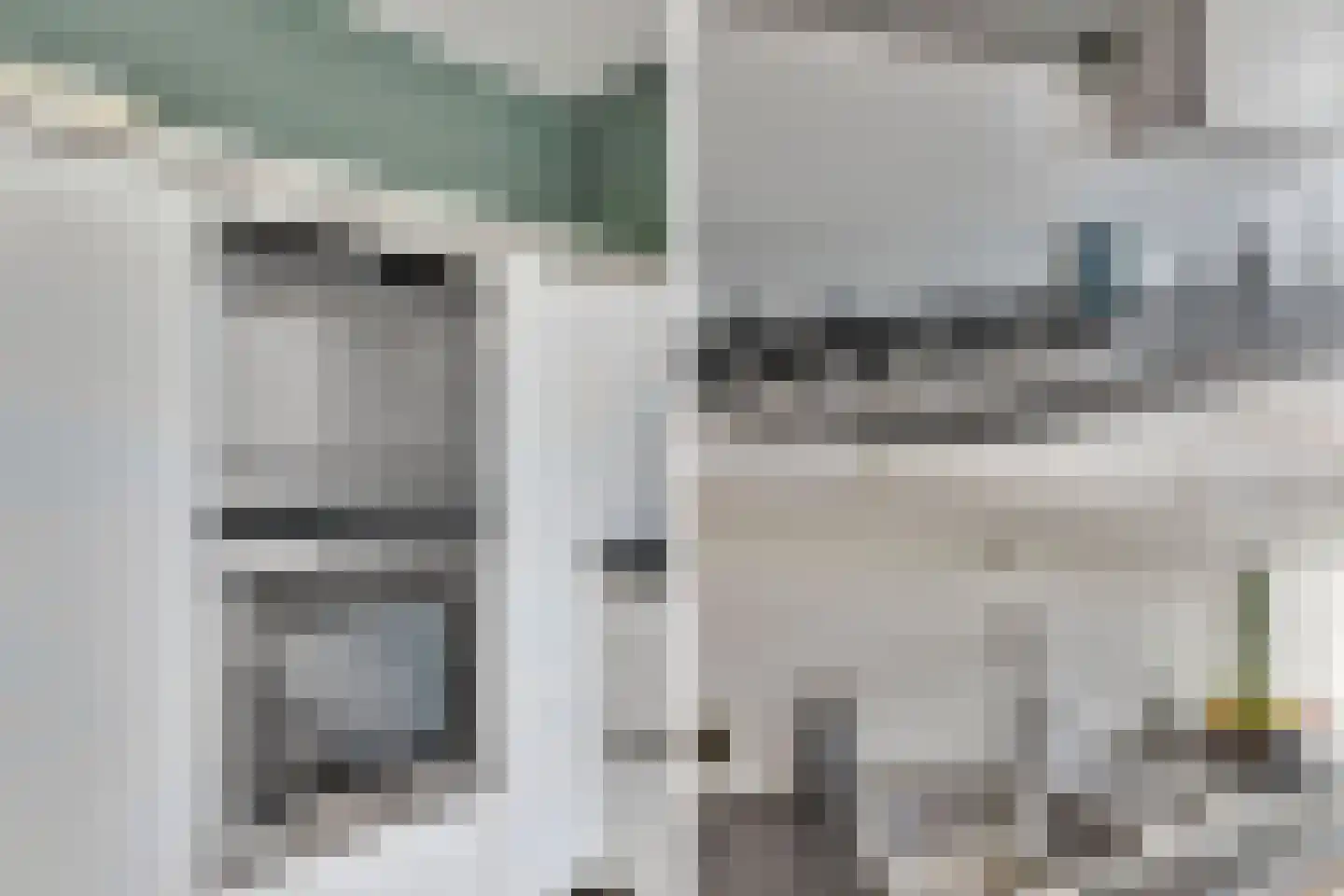 Grasgors 11 Mijnsheerenland thumbnail 14