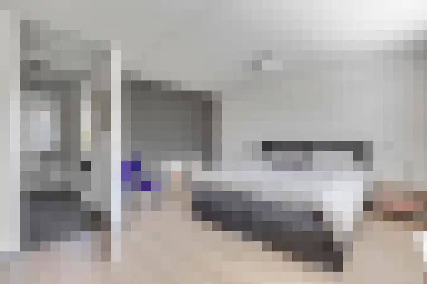 Grasgors 11 Mijnsheerenland thumbnail 17