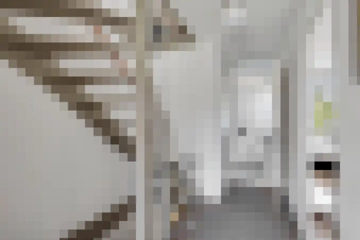 Grasgors 11 Mijnsheerenland thumbnail 21