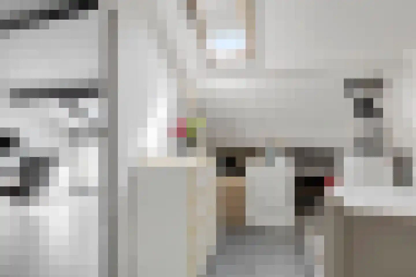 Grasgors 11 Mijnsheerenland thumbnail 22