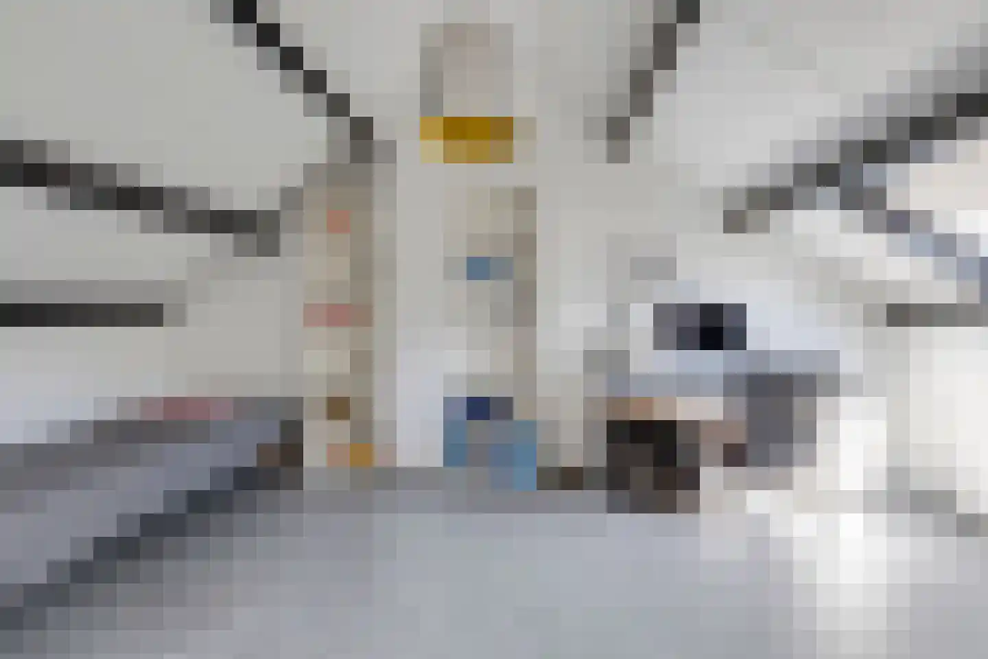 Grasgors 11 Mijnsheerenland thumbnail 23