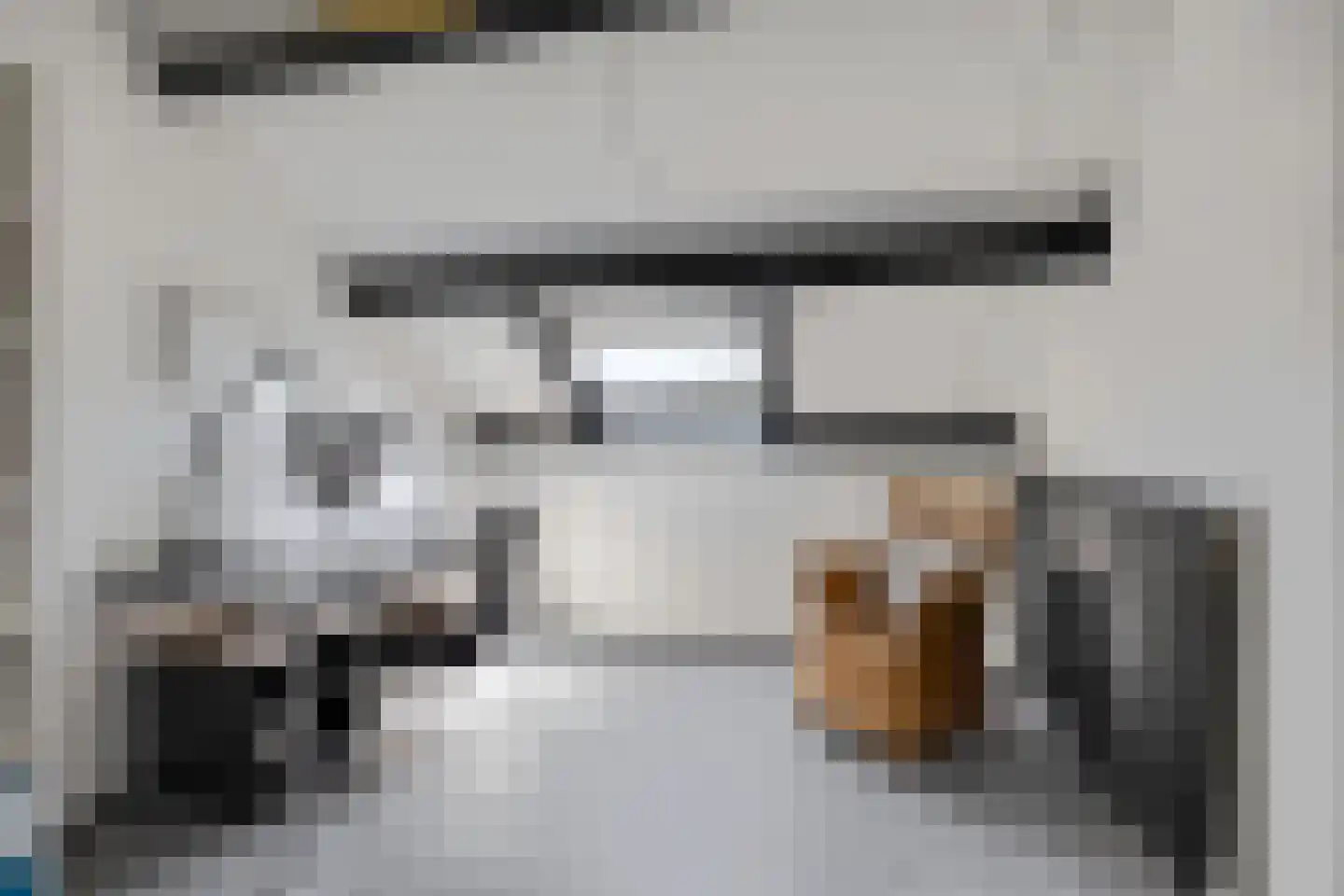 Grasgors 11 Mijnsheerenland thumbnail 25