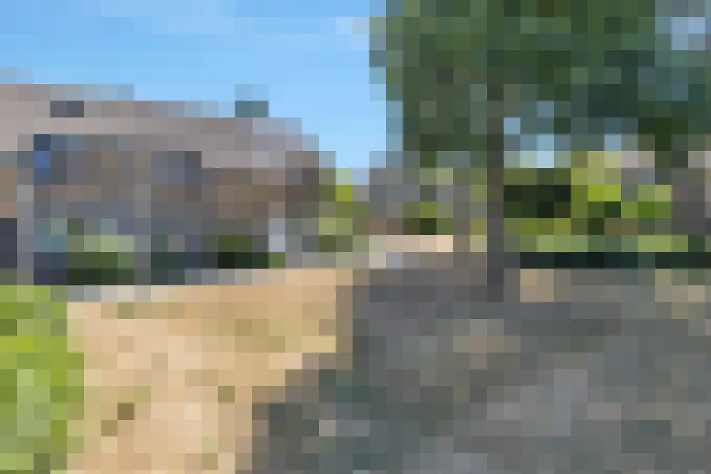 Grasgors 11 Mijnsheerenland thumbnail 26