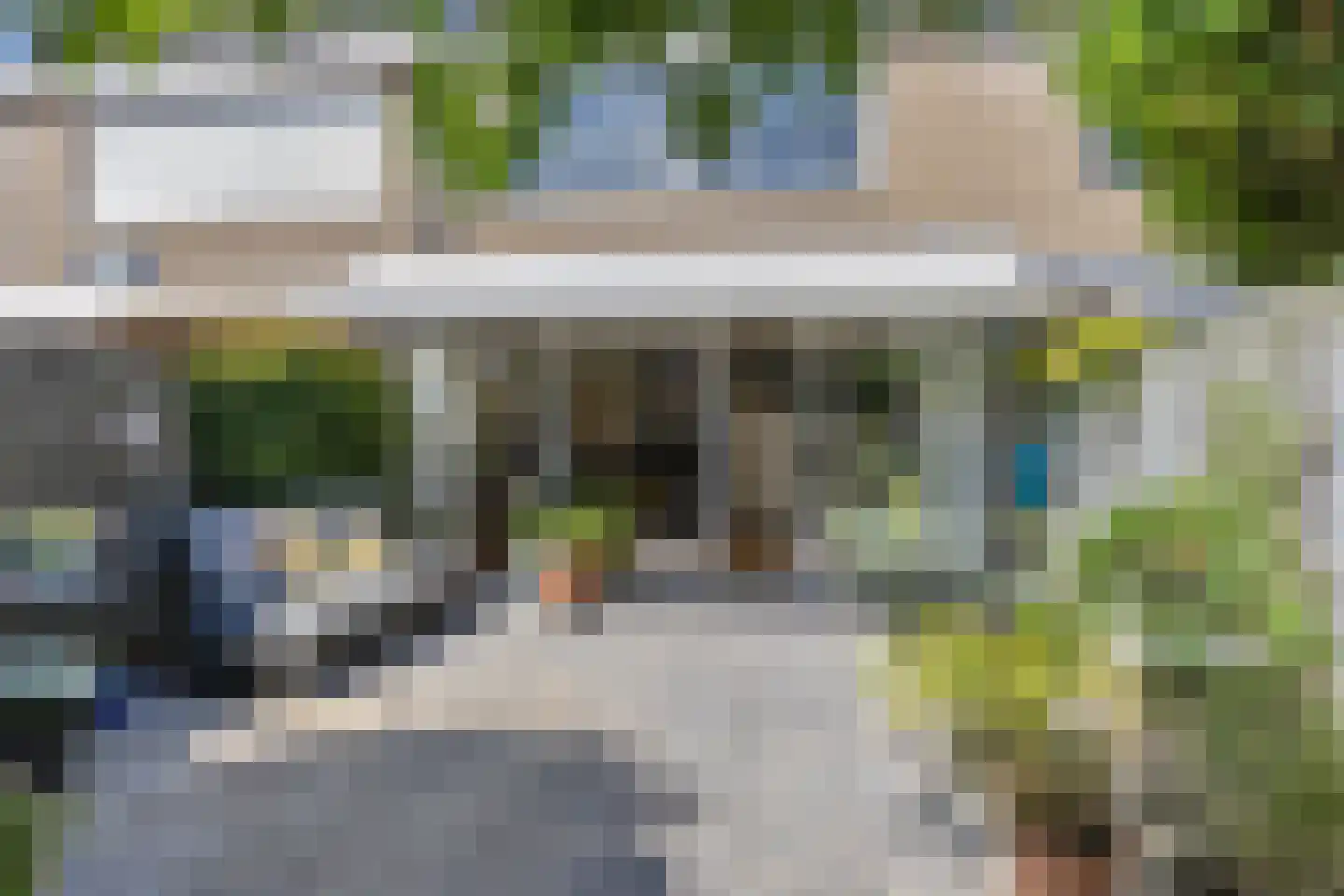 Grasgors 11 Mijnsheerenland thumbnail 27