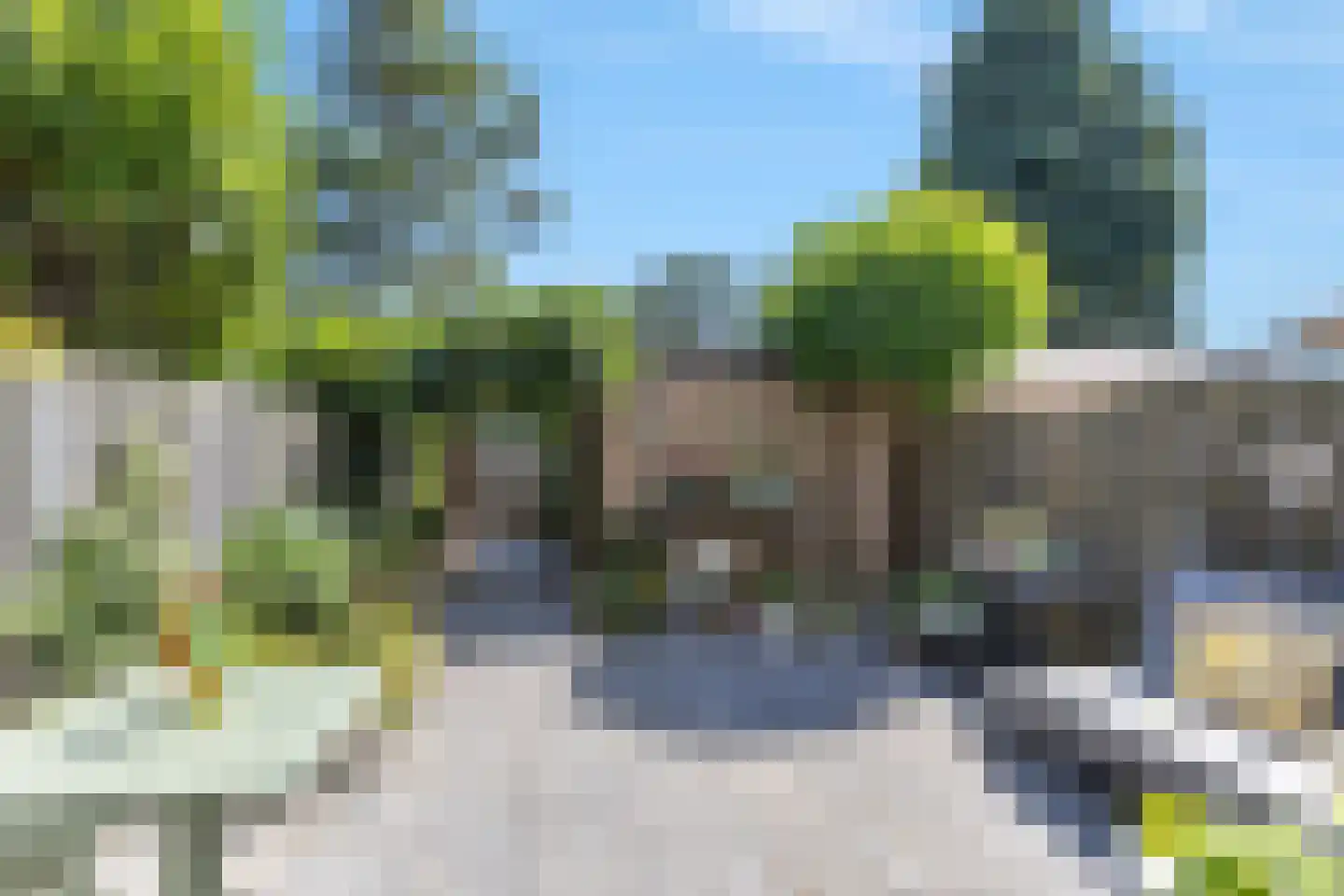 Grasgors 11 Mijnsheerenland thumbnail 28