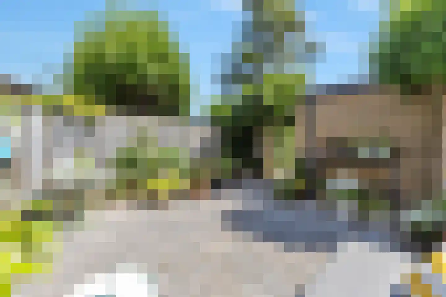 Grasgors 11 Mijnsheerenland thumbnail 29