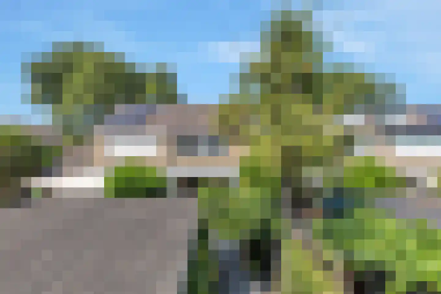 Grasgors 11 Mijnsheerenland thumbnail 30