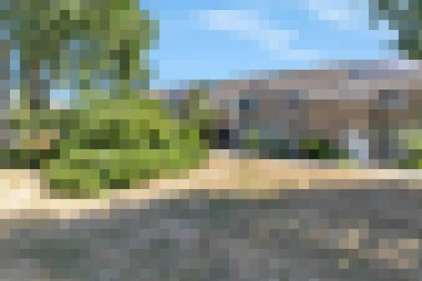 Grasgors 11 Mijnsheerenland thumbnail 31