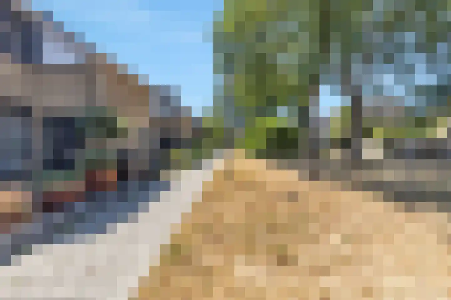 Grasgors 11 Mijnsheerenland thumbnail 32