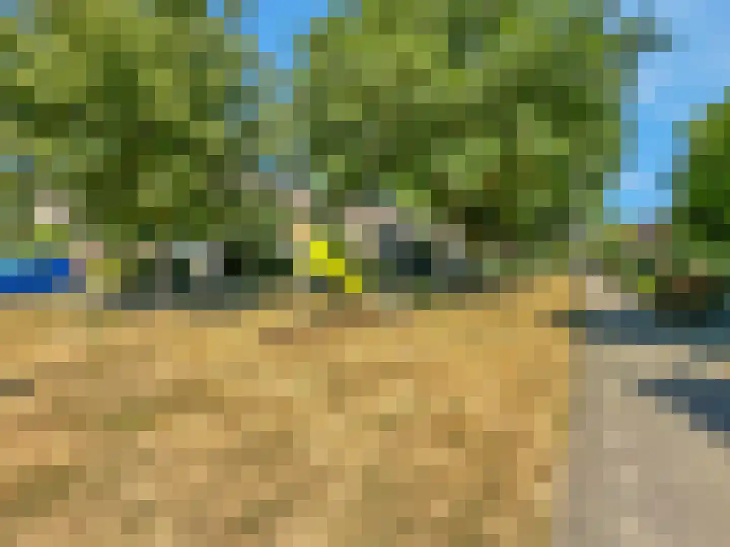 Grasgors 11 Mijnsheerenland thumbnail 33