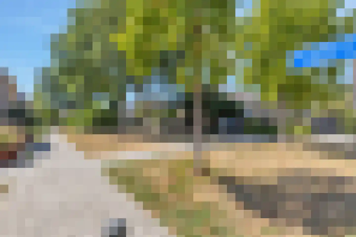 Grasgors 11 Mijnsheerenland thumbnail 34