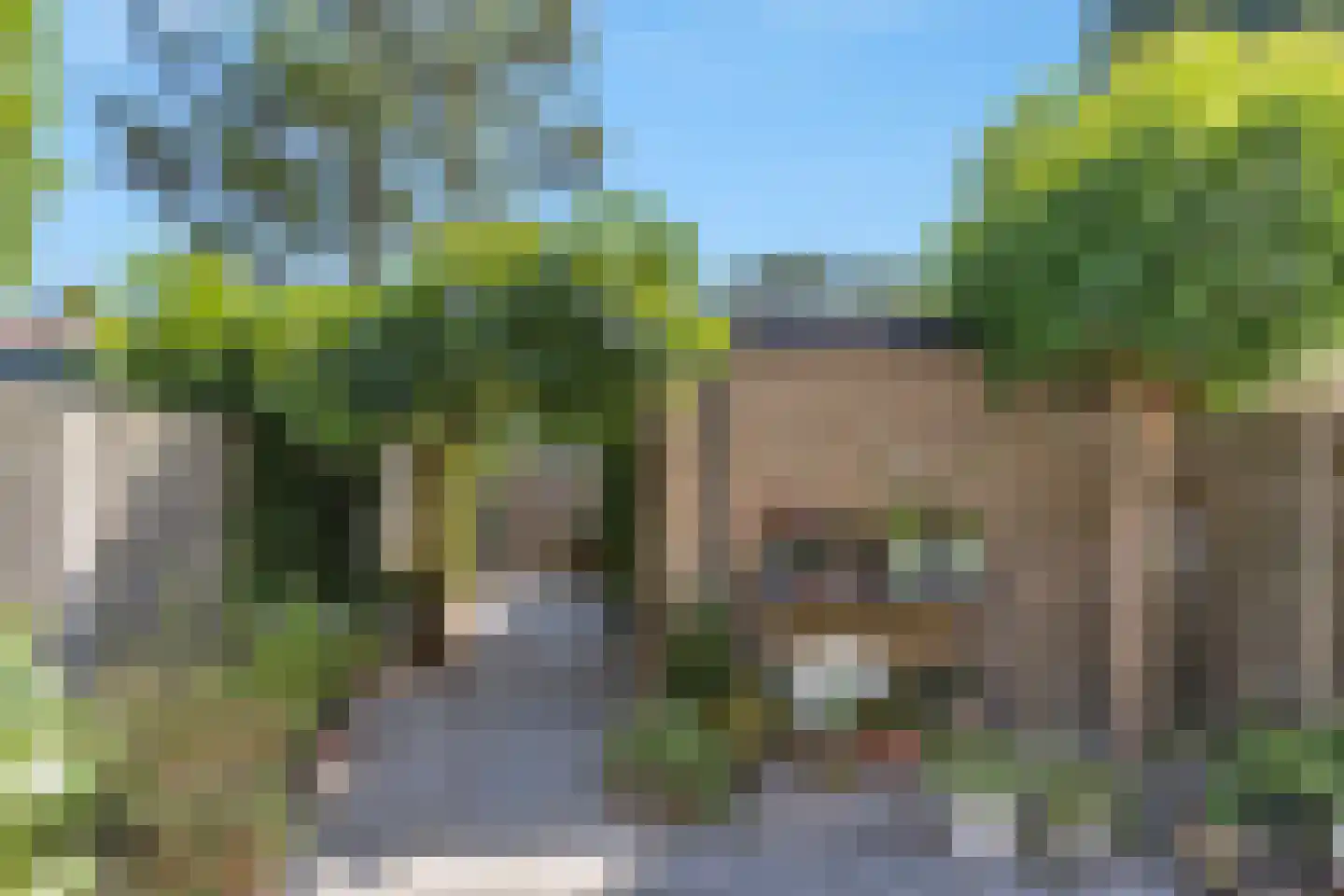 Grasgors 11 Mijnsheerenland thumbnail 4