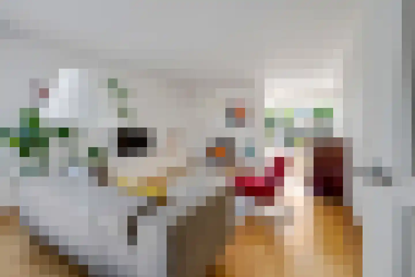 Grasgors 11 Mijnsheerenland thumbnail 7