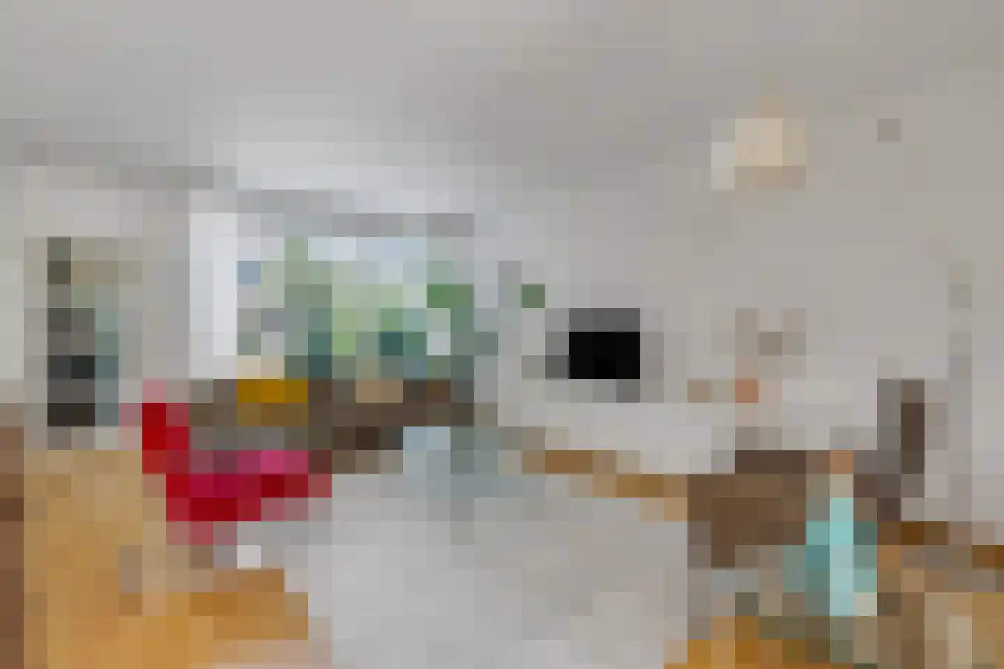Grasgors 11 Mijnsheerenland thumbnail 9