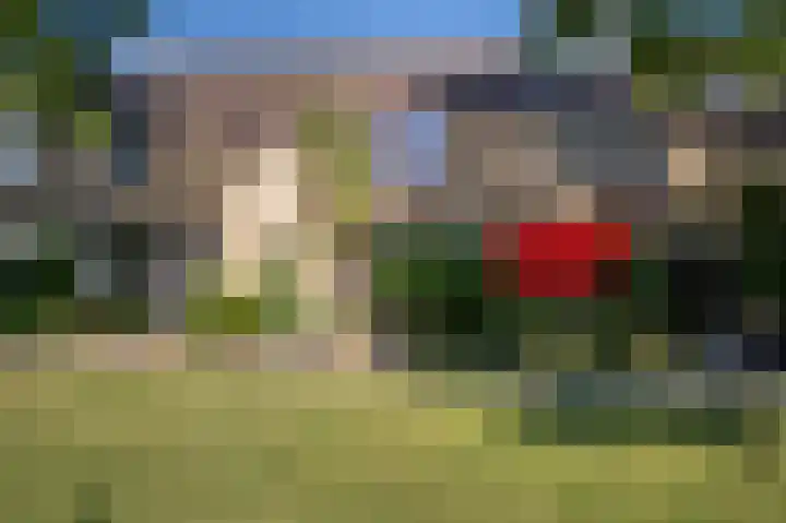 Grasgors 20 in Mijnsheerenland