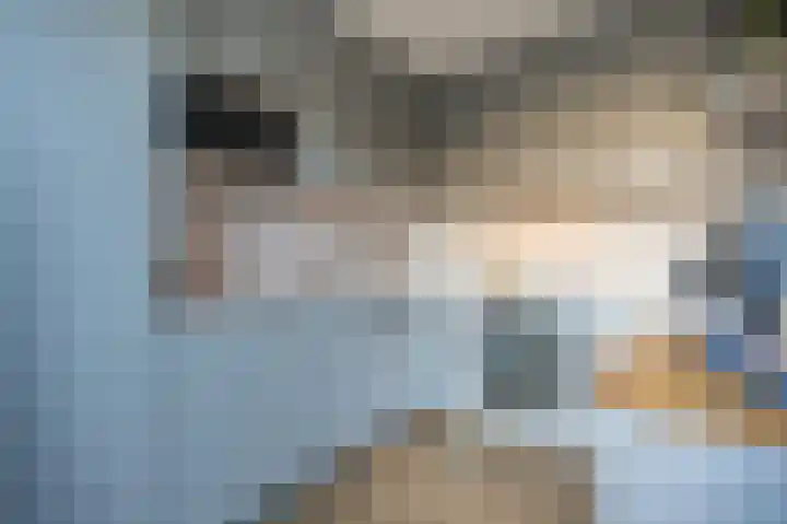 Grasgors 20 Mijnsheerenland thumbnail 11