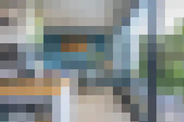 Grasgors 20 Mijnsheerenland thumbnail 12
