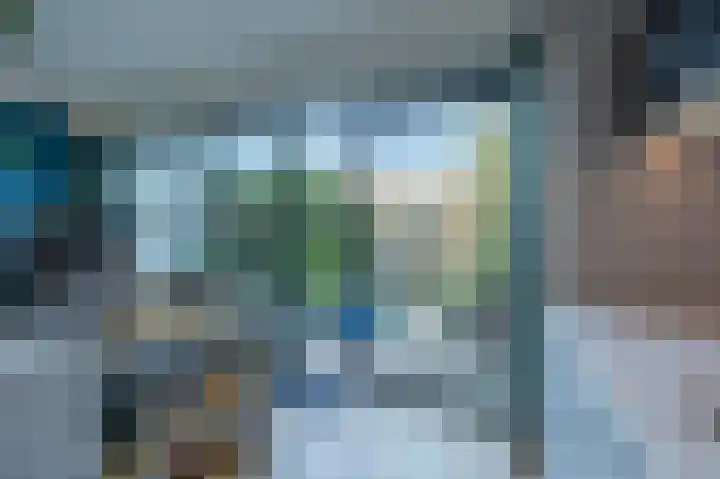 Grasgors 20 Mijnsheerenland thumbnail 13