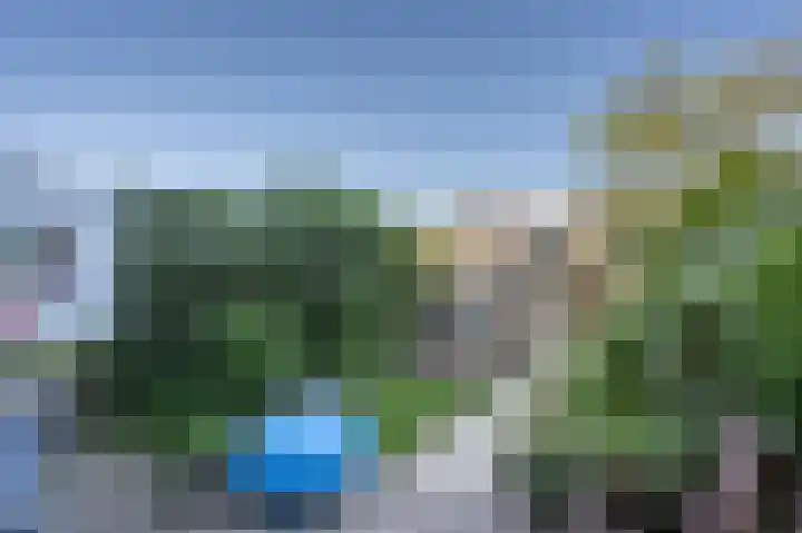 Grasgors 20 Mijnsheerenland thumbnail 14