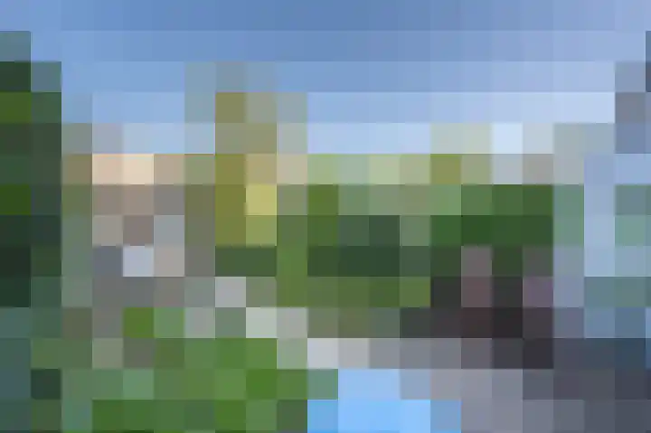 Grasgors 20 Mijnsheerenland thumbnail 15