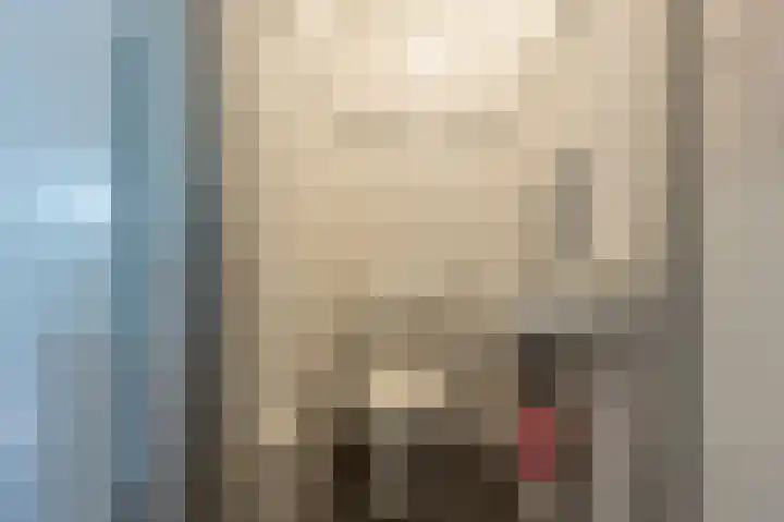 Grasgors 20 Mijnsheerenland thumbnail 16