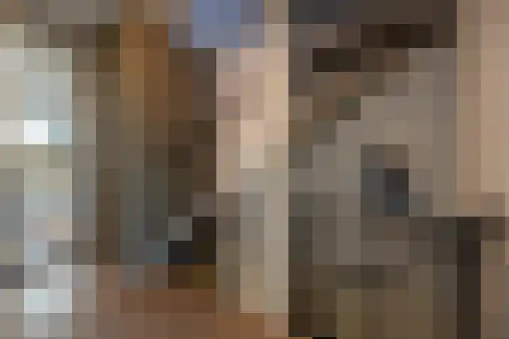 Grasgors 20 Mijnsheerenland thumbnail 17