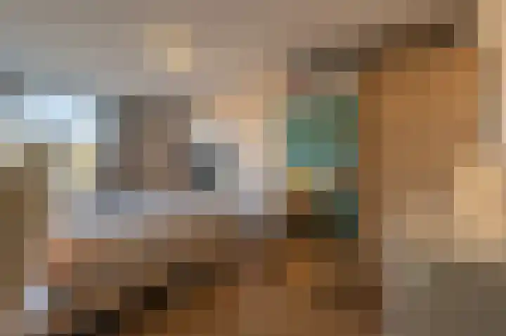 Grasgors 20 Mijnsheerenland thumbnail 18