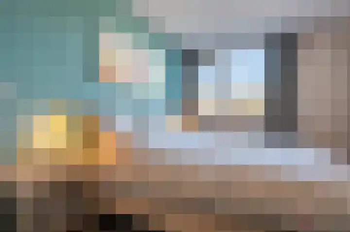 Grasgors 20 Mijnsheerenland thumbnail 19