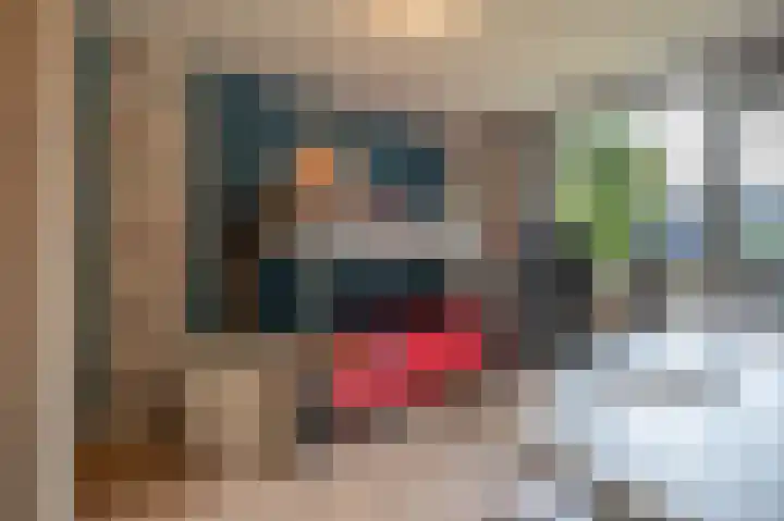 Grasgors 20 Mijnsheerenland thumbnail 21