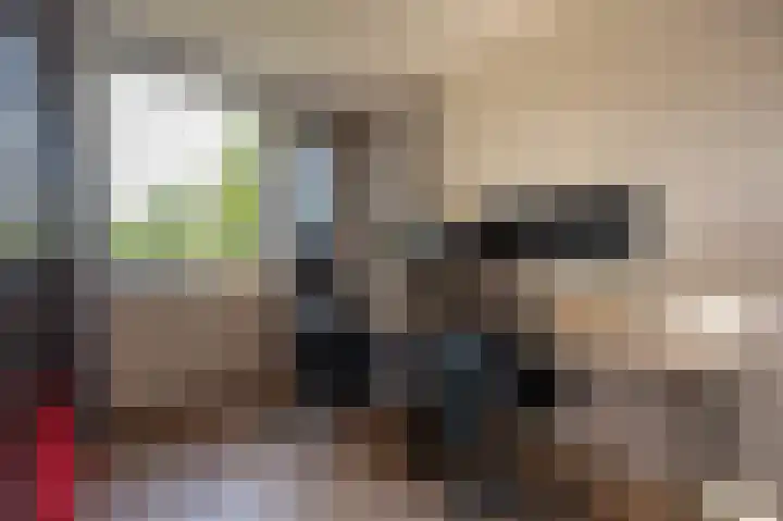 Grasgors 20 Mijnsheerenland thumbnail 22