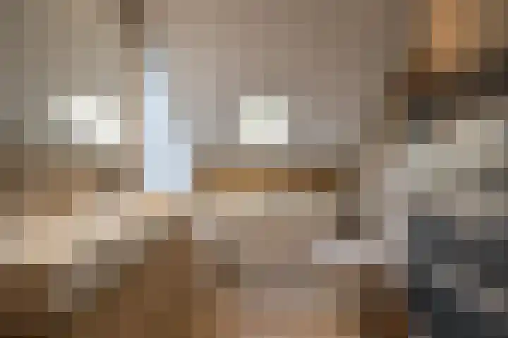 Grasgors 20 Mijnsheerenland thumbnail 26