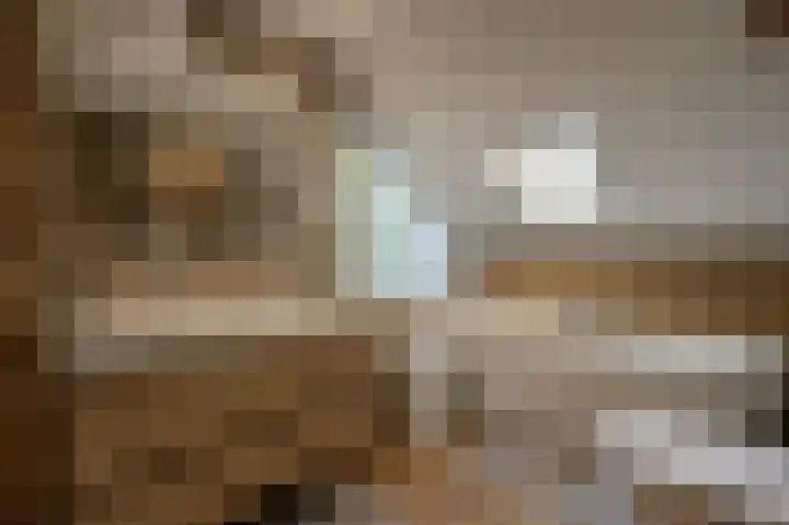Grasgors 20 Mijnsheerenland thumbnail 27