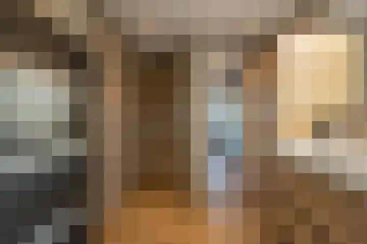 Grasgors 20 Mijnsheerenland thumbnail 28