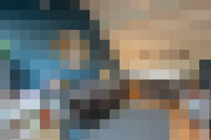 Grasgors 20 Mijnsheerenland thumbnail 31