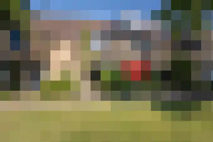 Grasgors 20 Mijnsheerenland thumbnail 33
