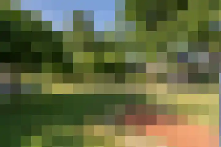 Grasgors 20 Mijnsheerenland thumbnail 34