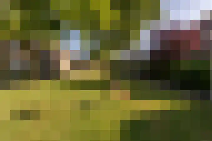 Grasgors 20 Mijnsheerenland thumbnail 35