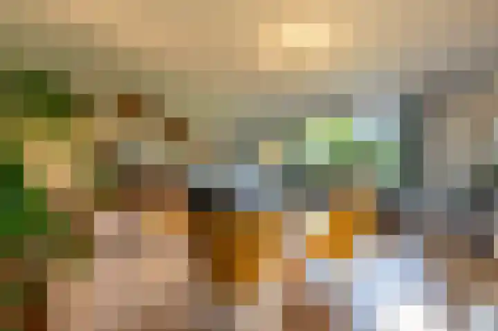 Grasgors 20 Mijnsheerenland thumbnail 4