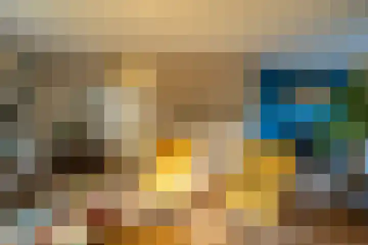 Grasgors 20 Mijnsheerenland thumbnail 6