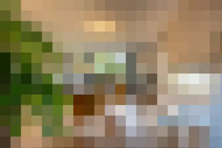 Grasgors 20 Mijnsheerenland thumbnail 8