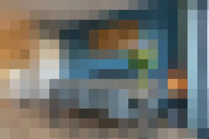 Grasgors 20 Mijnsheerenland thumbnail 9