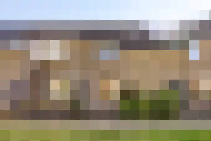 Grasgors 3 Mijnsheerenland