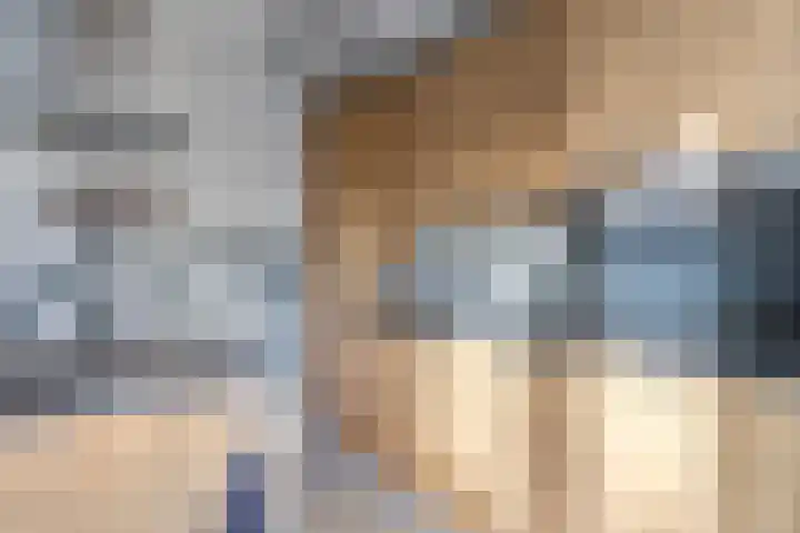 Grasgors 3 Mijnsheerenland thumbnail 10